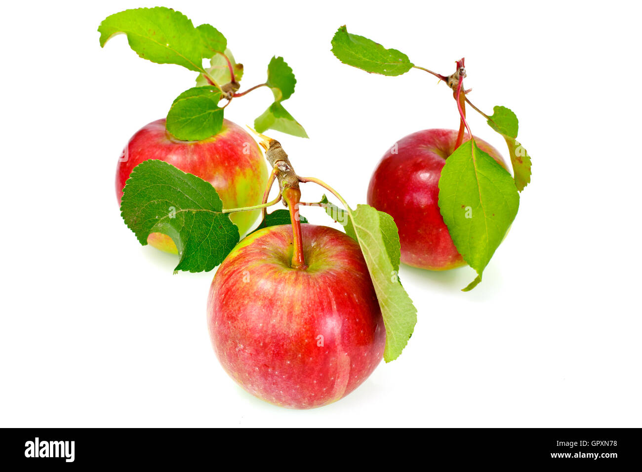 Fresh Sweet Tasty Red Apple Isolated on White Background Stock Photo