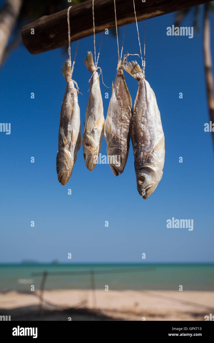 Salted threadfin fish hires stock photography and images Alamy