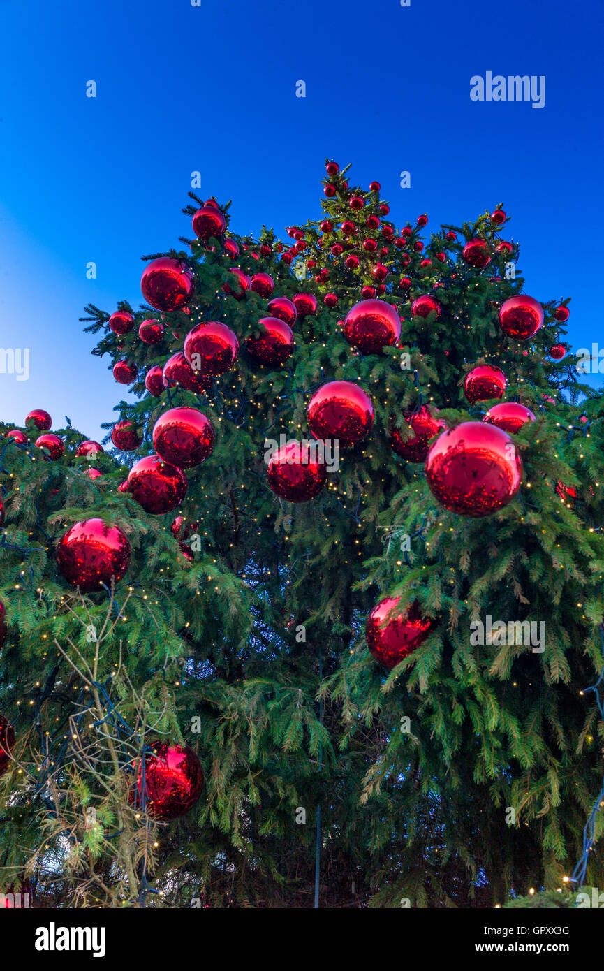 Red balls hanging on a Christmas tree Stock Photo - Alamy