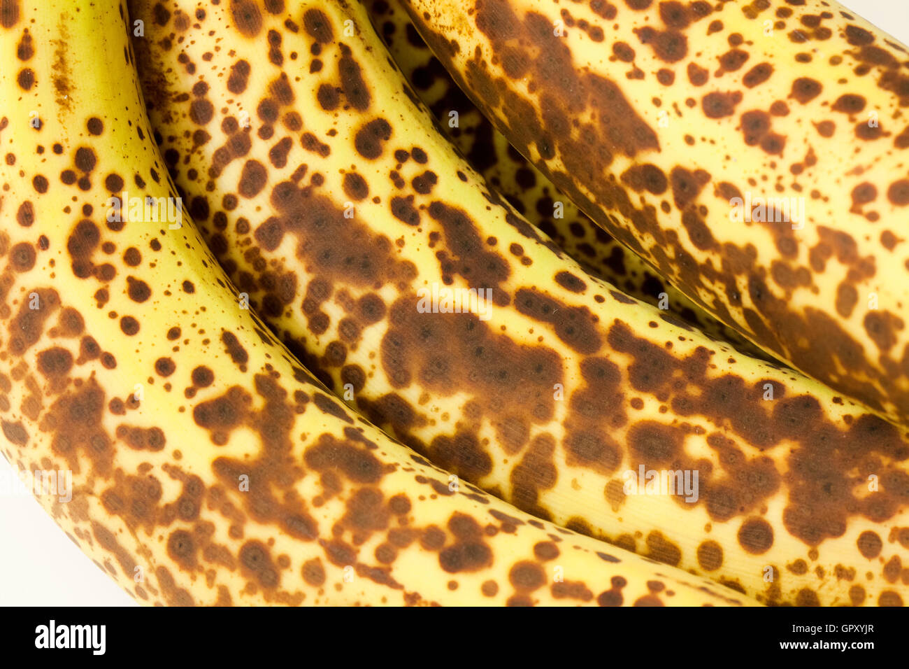 Closeup of overripe bananas  (brown spots) Stock Photo