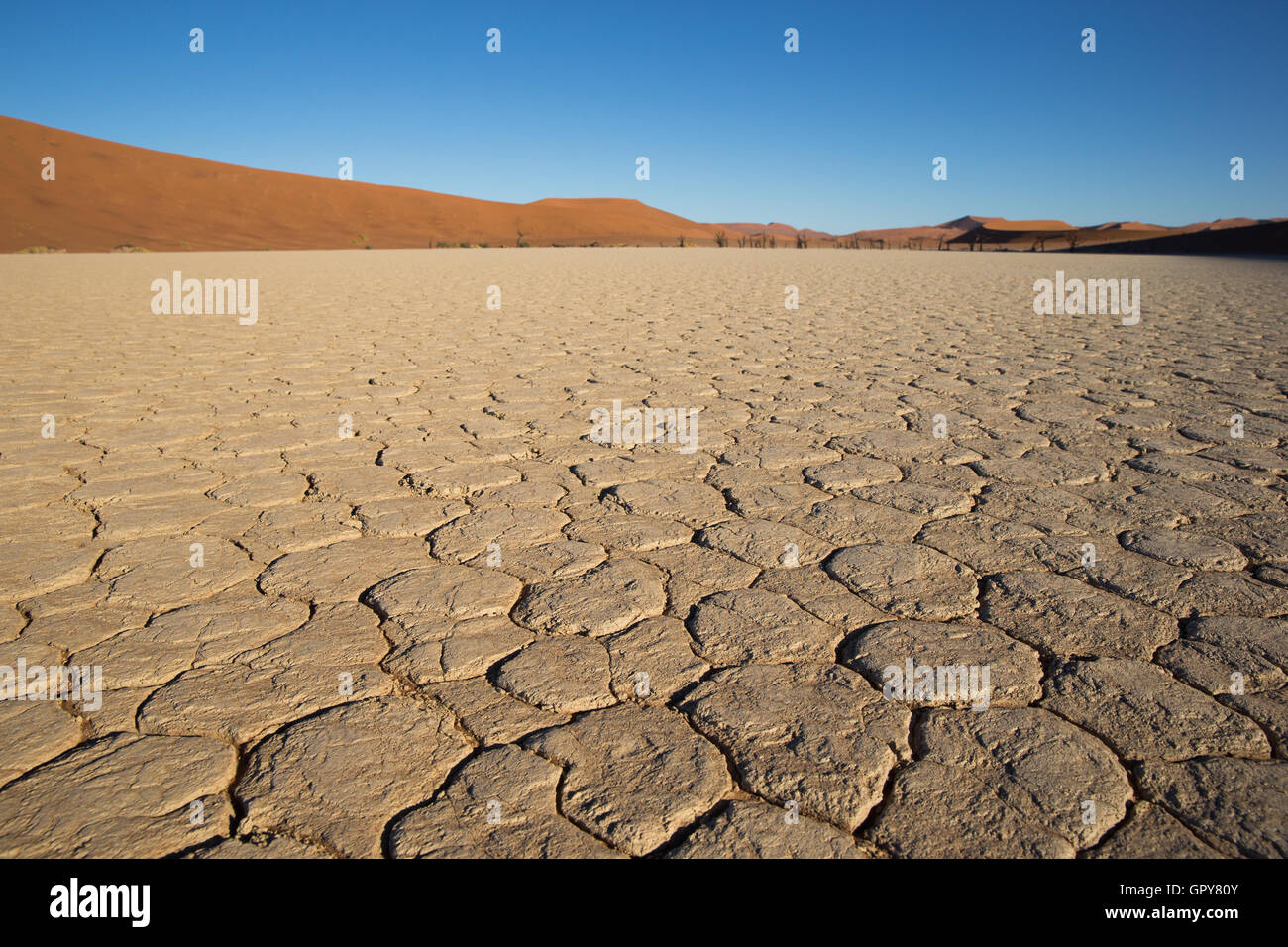 Cracked salt and clay pan in Dead Vlei Stock Photo