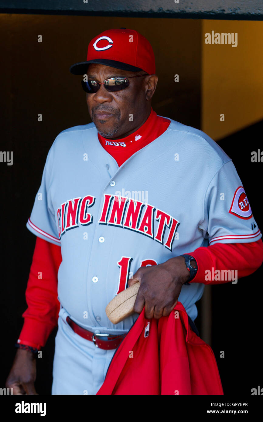 1,129 Dusty Baker Giants Stock Photos, High-Res Pictures, and Images -  Getty Images