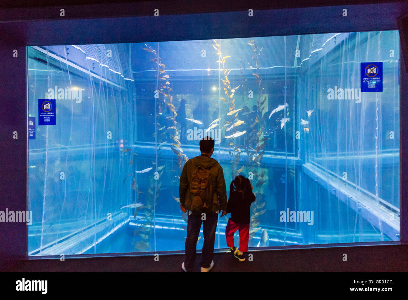 Interior With Fish Tank Stock Photos Interior With Fish