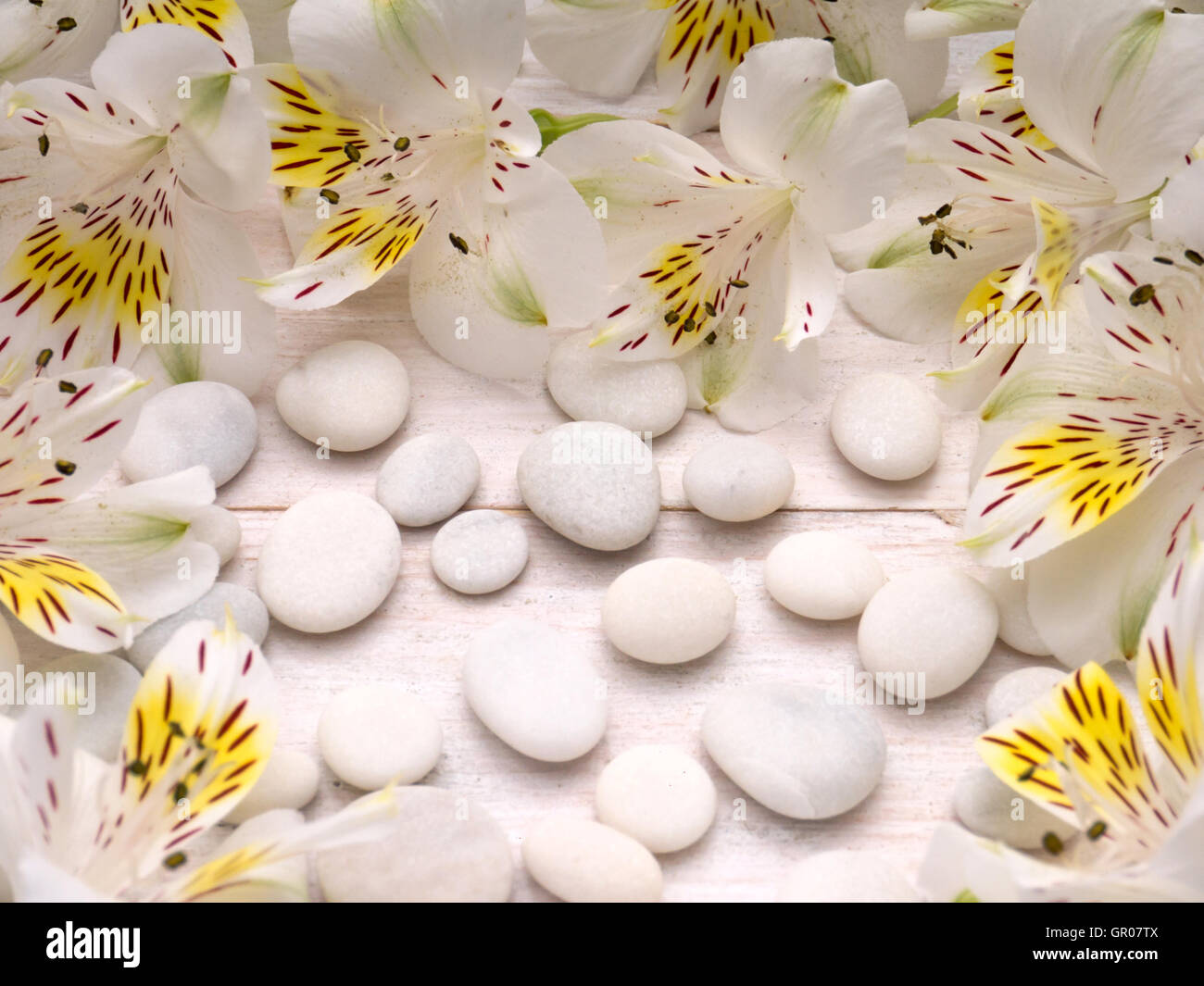 Delicate alstroemeria flowers and white pebble on the wooden planks Stock Photo