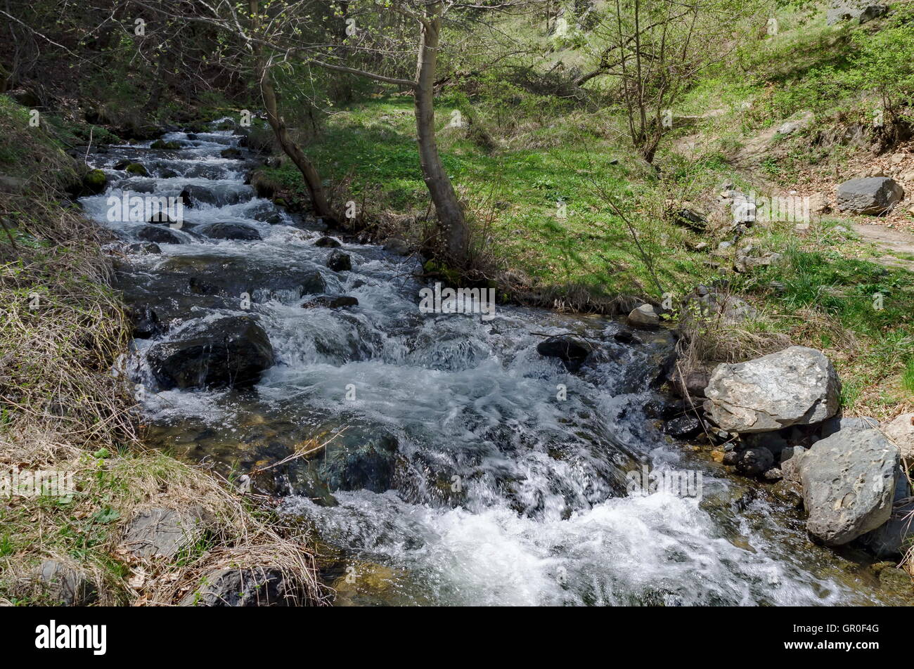 Small mountain river in Vitosha mountain, Sofia Stock Photo - Alamy