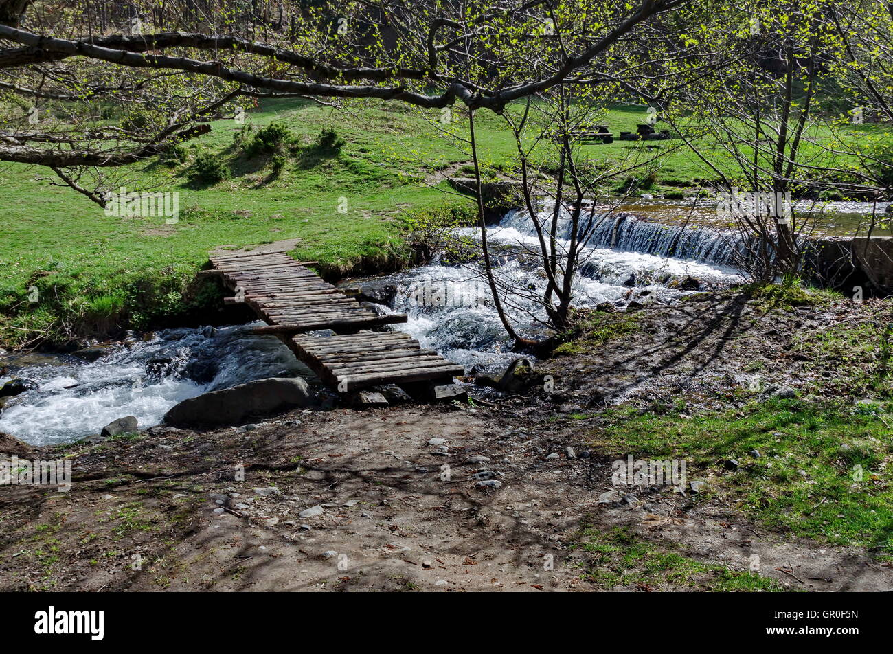 Small mountain river in Vitosha mountain, Sofia Stock Photo - Alamy