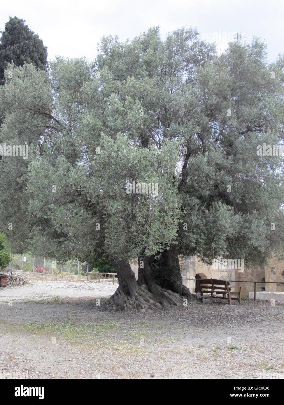 Hagia Triada (also Ayia Triada, Agia Triada, Agia Trias, Greek: [aˈʝia ...
