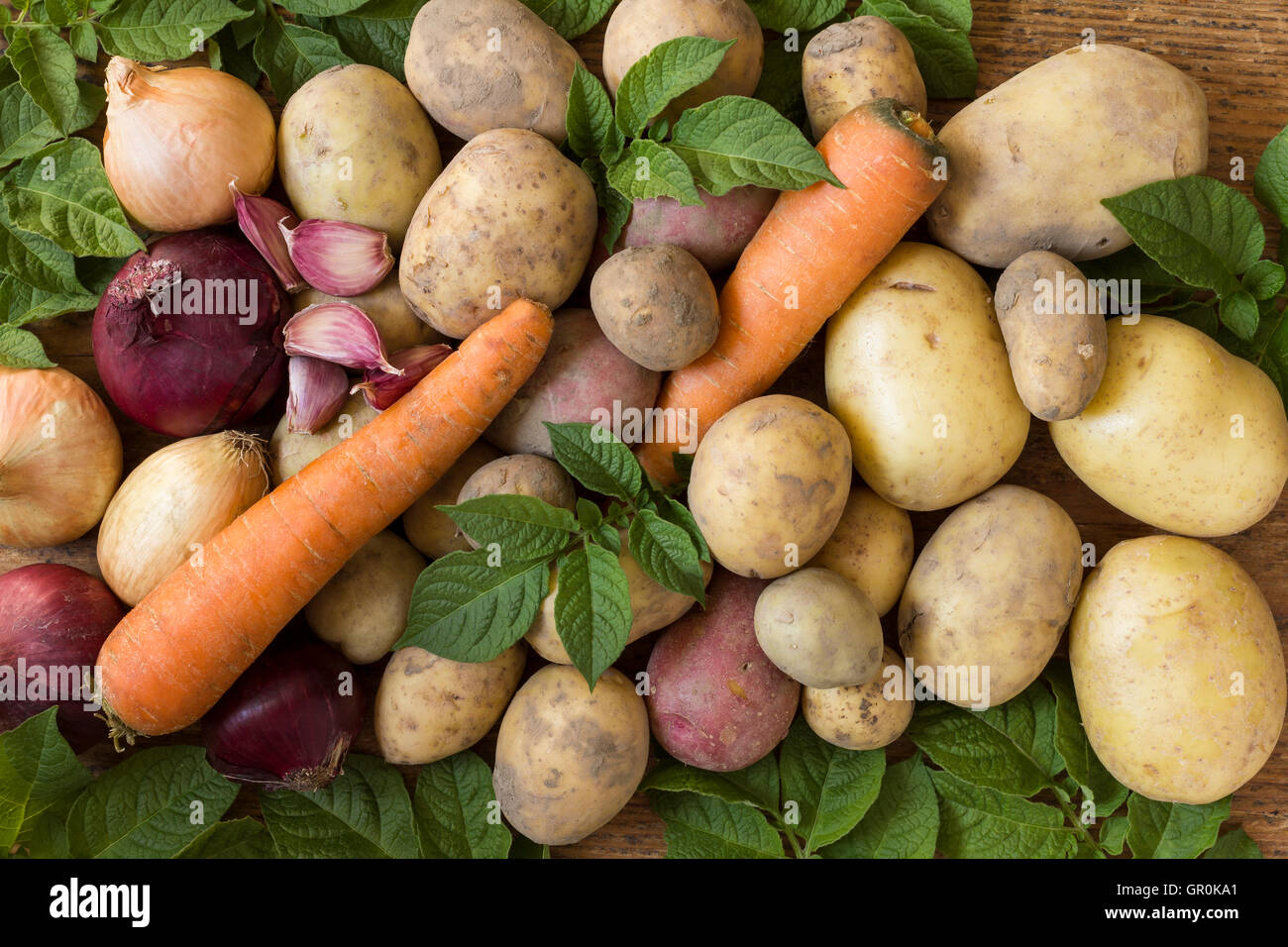 Fresh root vegetables, potatoes, onions, carrots and garlic as natural