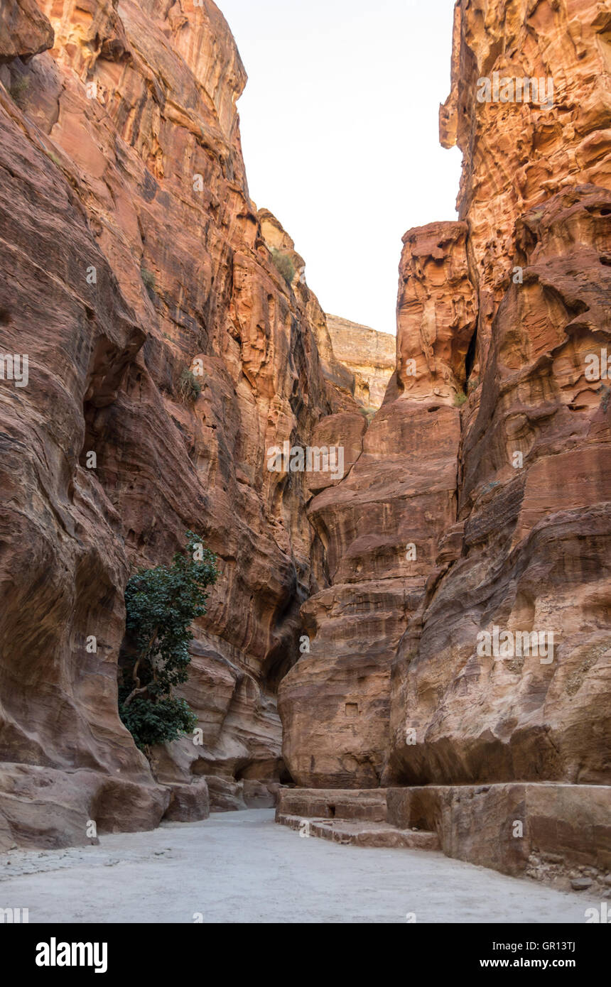 The Siq, the narrow slot-canyon that serves as the entrance passage to the hidden city of Petra, Jordan, Stock Photo