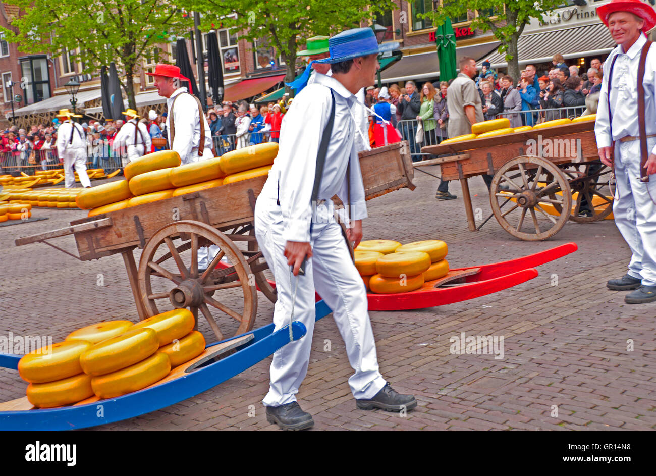 Cheese carriers transport the heavy cheeses on wooden sledges called 'Berries' at the Alkmaar Cheese Market, Holland Stock Photo