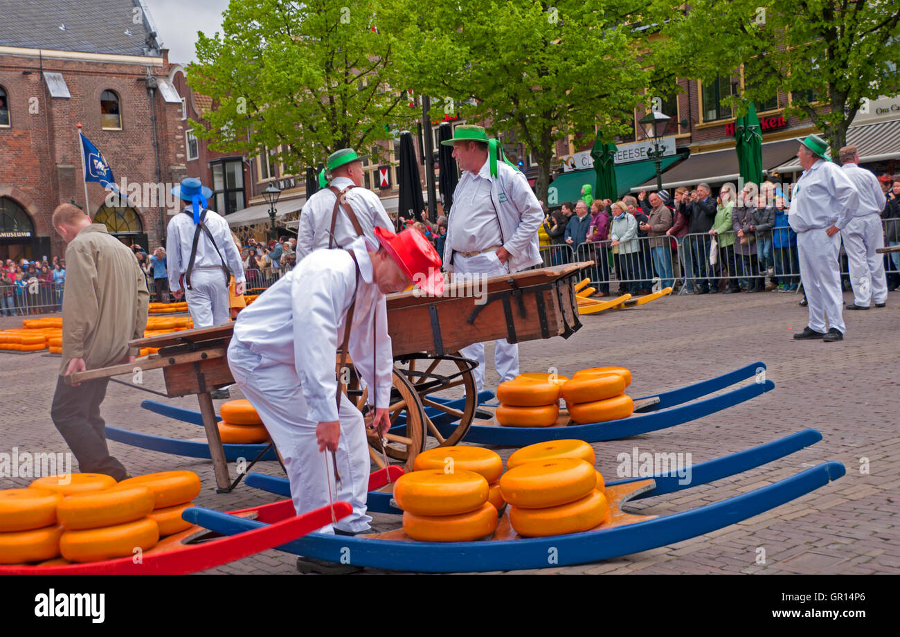 Cheese carriers transport the heavy cheeses on wooden sledges called 'Berries' at the Alkmaar Cheese Market, Holland Stock Photo