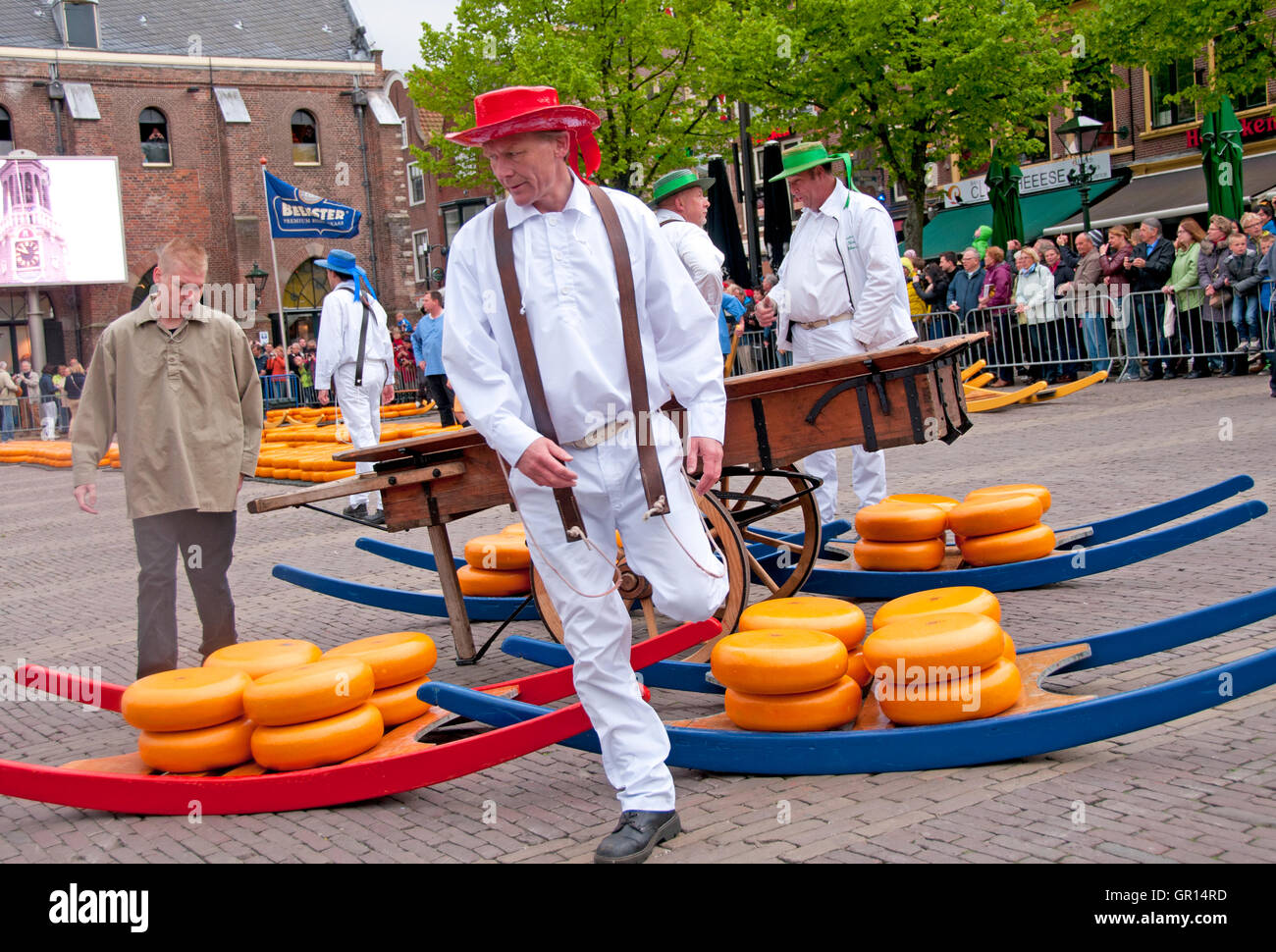 At Holland's Alkmaar Cheese Market, carriers transport the heavy cheeses on wooden sledges called 'Berries.' Stock Photo