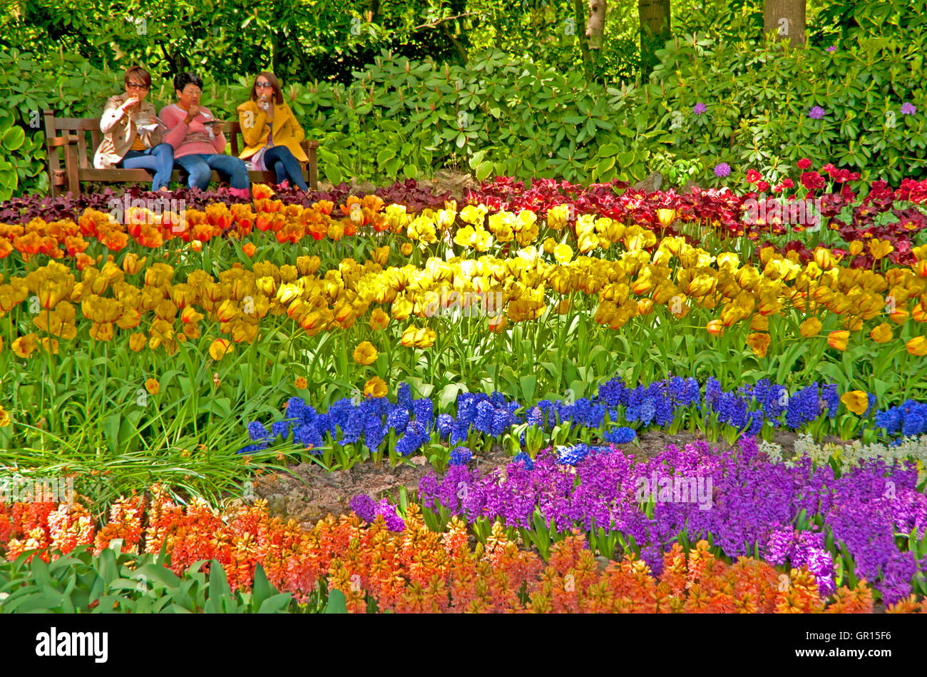 Three women stop with a treat to rest on a bench in front of a bank of tulips at Keukenhof Gardens, Lisse, Holland Stock Photo