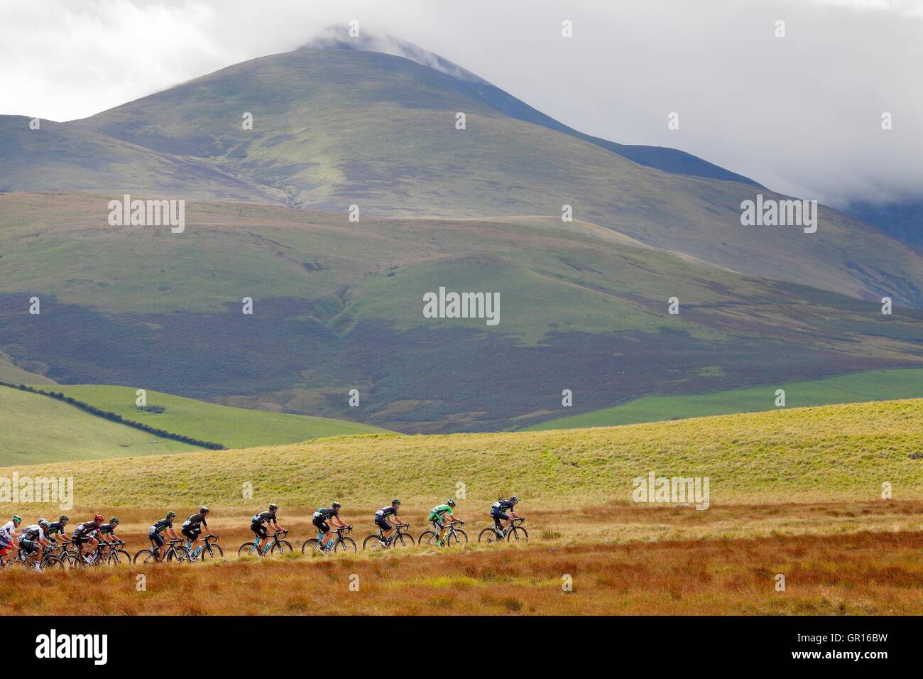 Uldale, Cumbria, UK. 5th September 2016. The Tour of Britain cycle race second peloton ascend the summit of Aughertree Fell. Credit:  Andrew Findlay/Alamy Live News Stock Photo