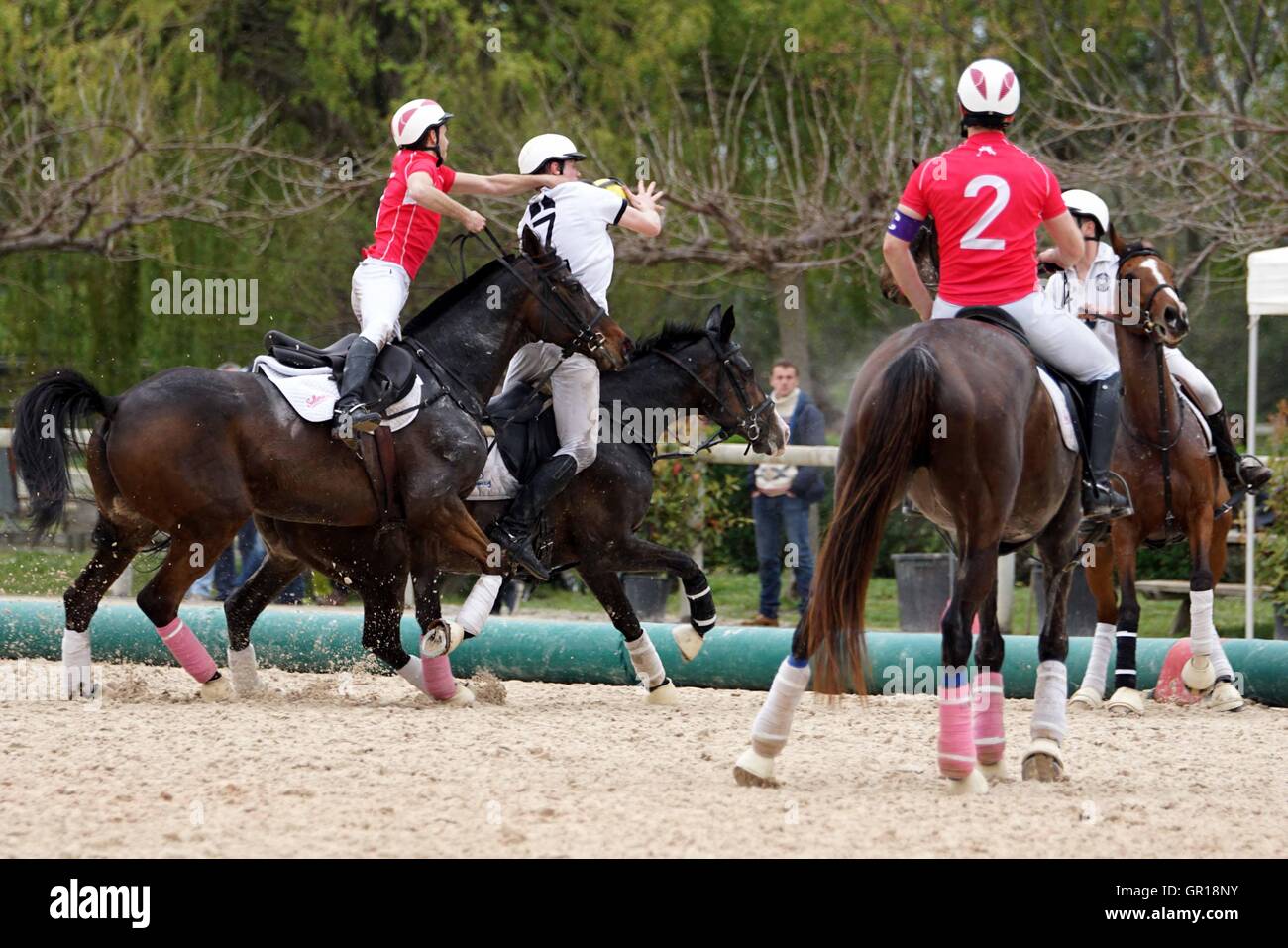 02.04.2016. Equestrian Centre of Curbs Nimes, LanguedocRoussillon