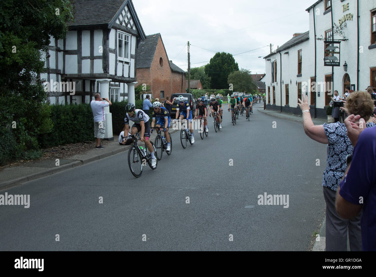 Cheshire, UK. 6th September, 2016. Peloton early in the race, passing through Church Minshull in the Cheshire plain. Credit:  Pat Bennett/Alamy Live News Stock Photo