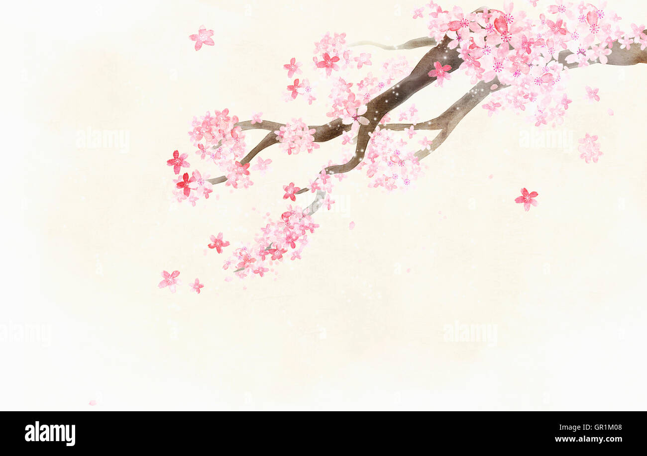 Pink flowers in spring Stock Photo - Alamy
