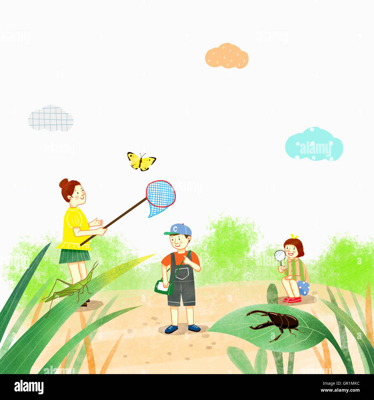 People collecting insects Stock Photo - Alamy