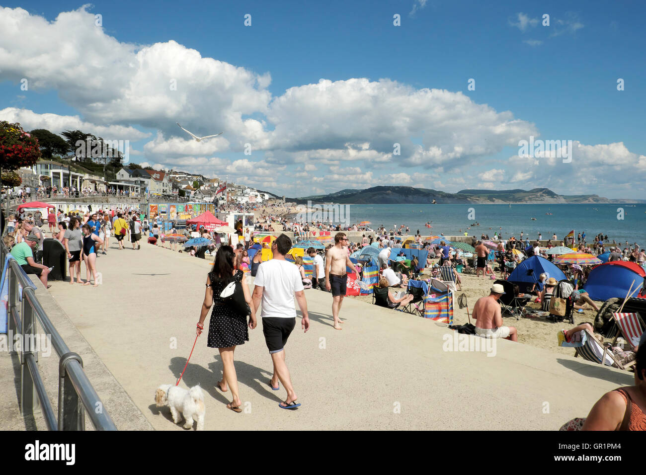 Couple walking a dog on Marine Parade by people on the beach waterfront Lyme Regis, Dorset, England UK  KATHY DEWITT Stock Photo