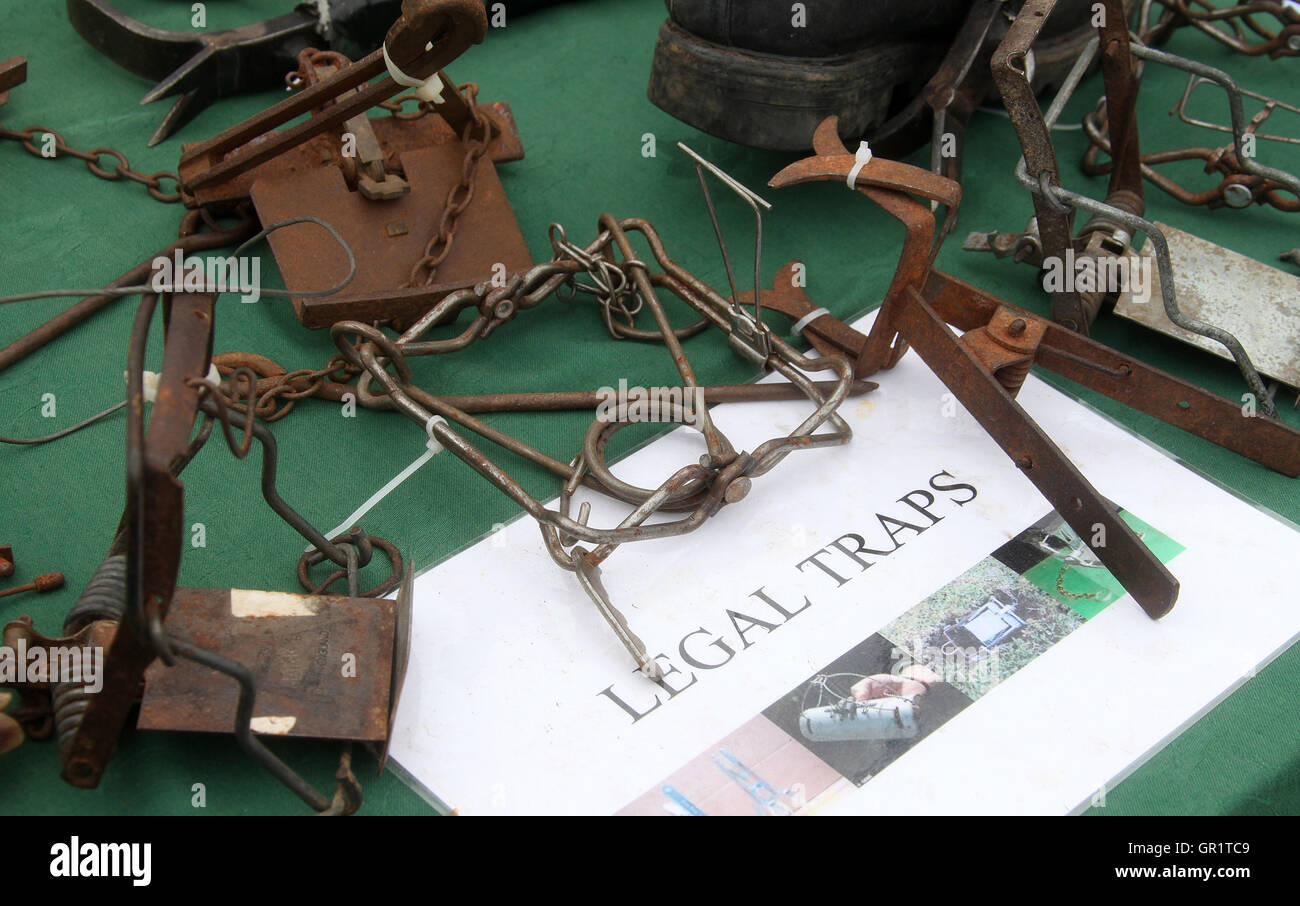 Legal Animal Traps Stock Photo Alamy