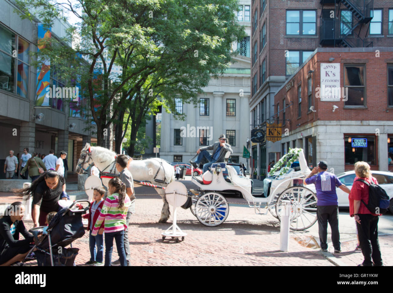 Horse center hi-res stock photography and images - Alamy