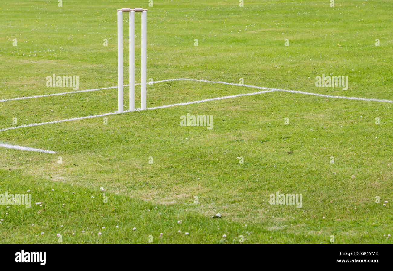 Traditional cricket pitch taken in the summer.  Wickets on the left, with copy space to the right Stock Photo