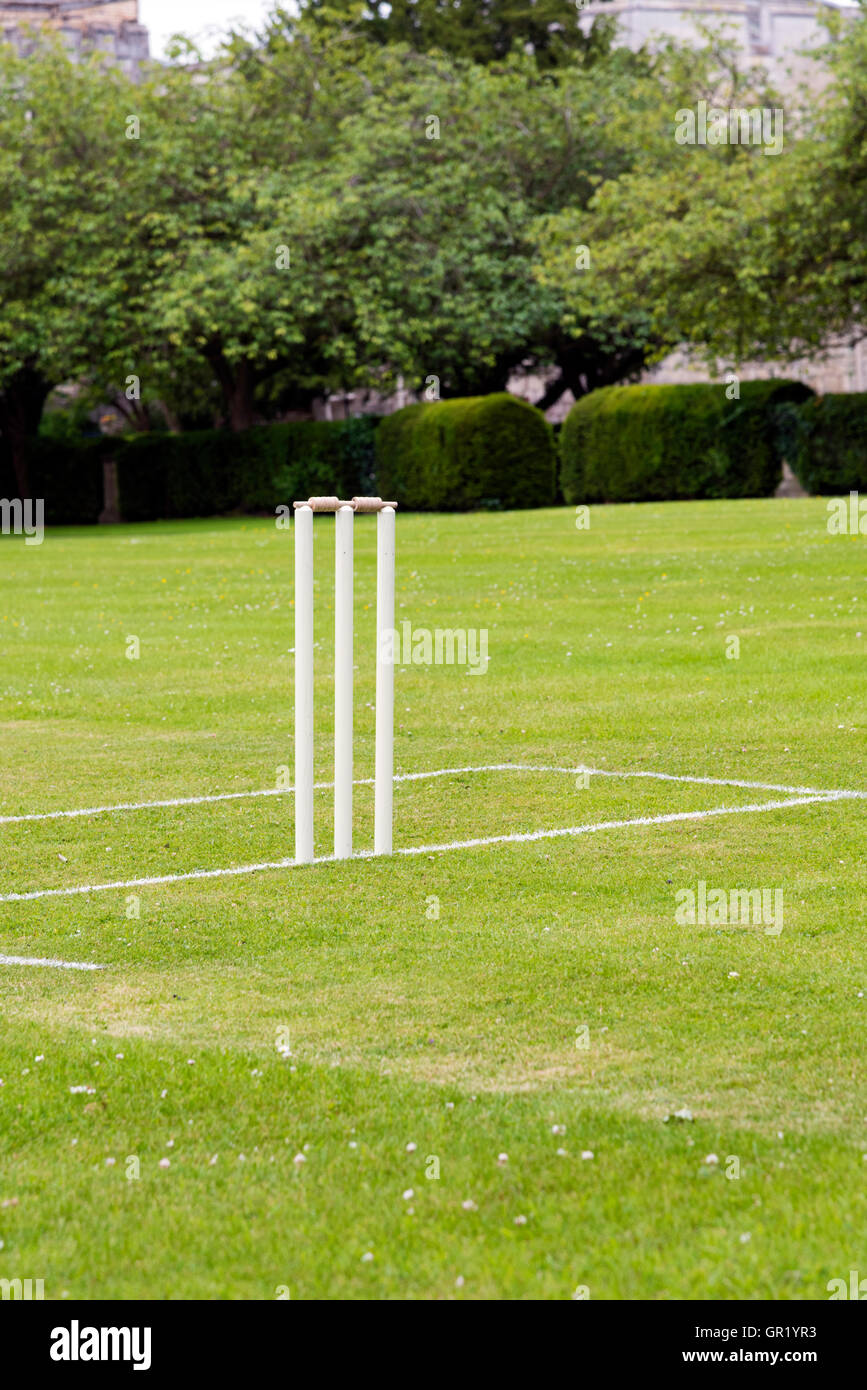 Traditional cricket pitch taken in the summer Stock Photo