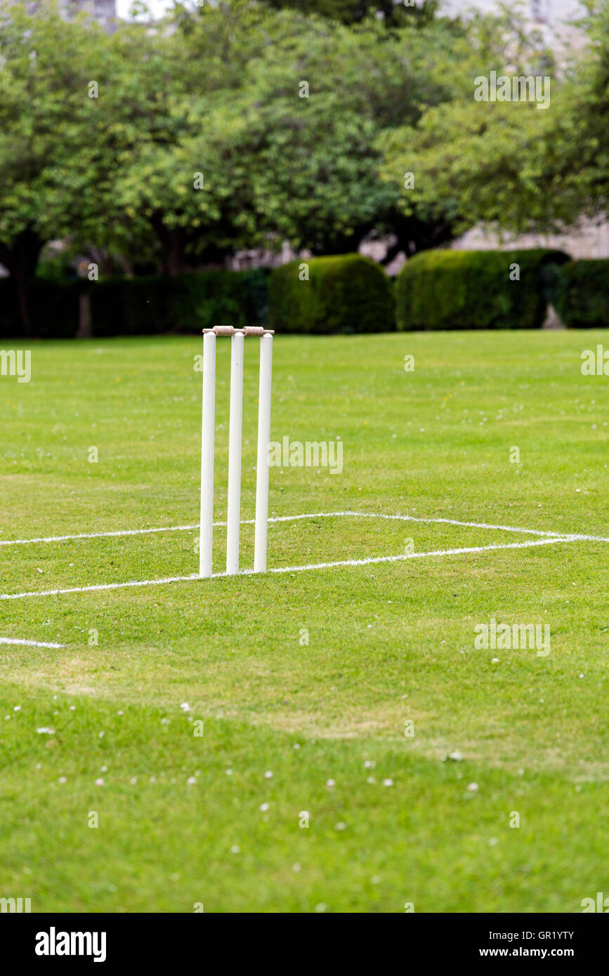 Traditional cricket pitch taken in the summer Stock Photo