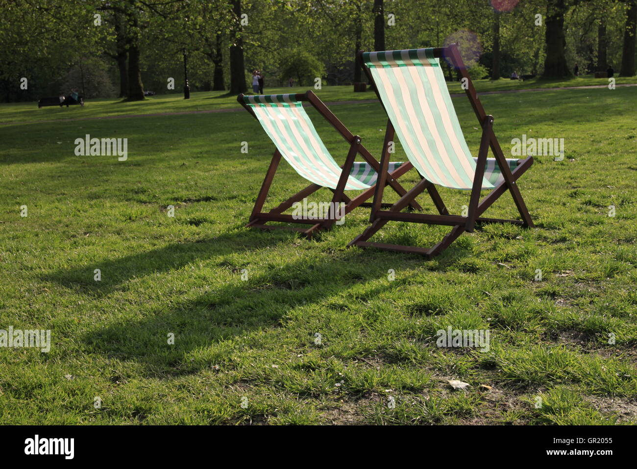 Deckchairs lit contre-jour in evening sun Green Park London W1 with pigeons and trees in background. Stock Photo