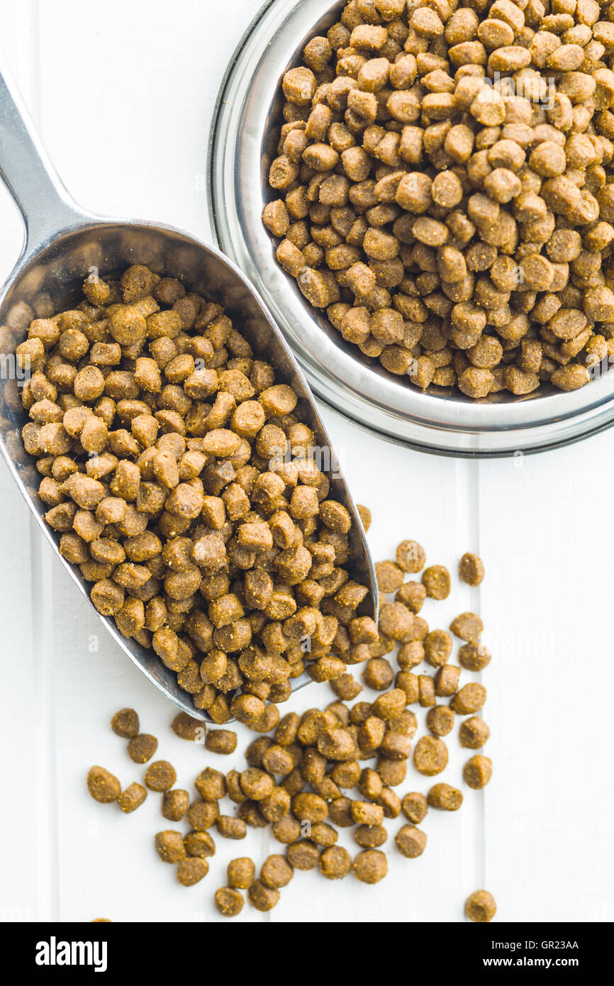 Dried food for dogs or cats in scoop. Top view Stock Photo Alamy