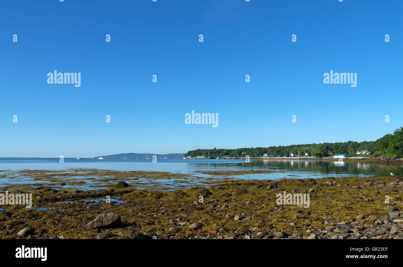 Wide view of the town pier at Searsport Maine during low tide in the