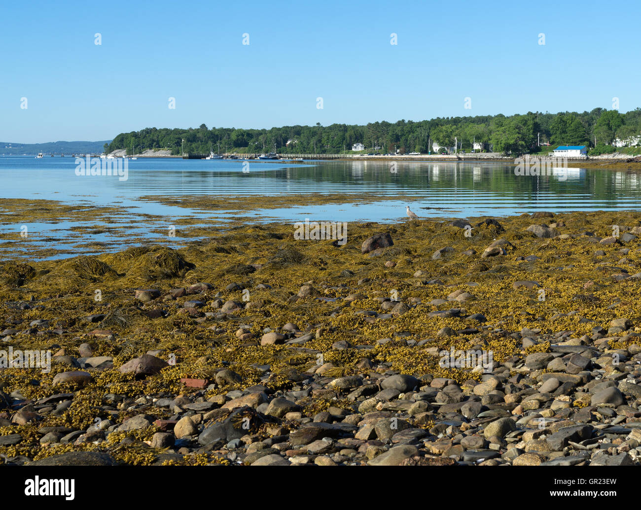 Searsport maine hires stock photography and images Alamy