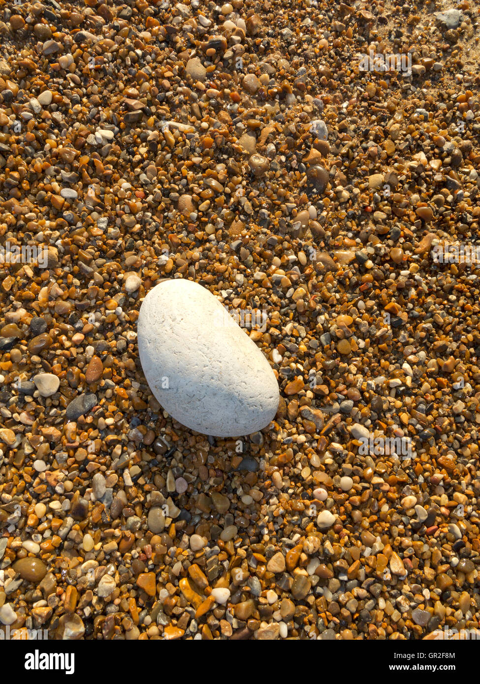 A flat overhead shot of small beach pebbles with a single large white pebble  Stock Photo - Alamy