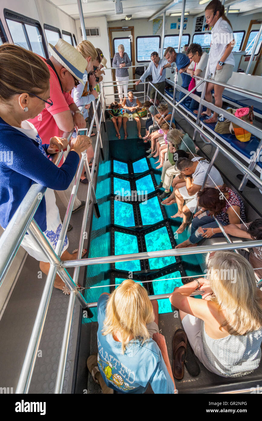 Florida Keys, Key Largo, John Pennekamp Coral Reef State Park, glass