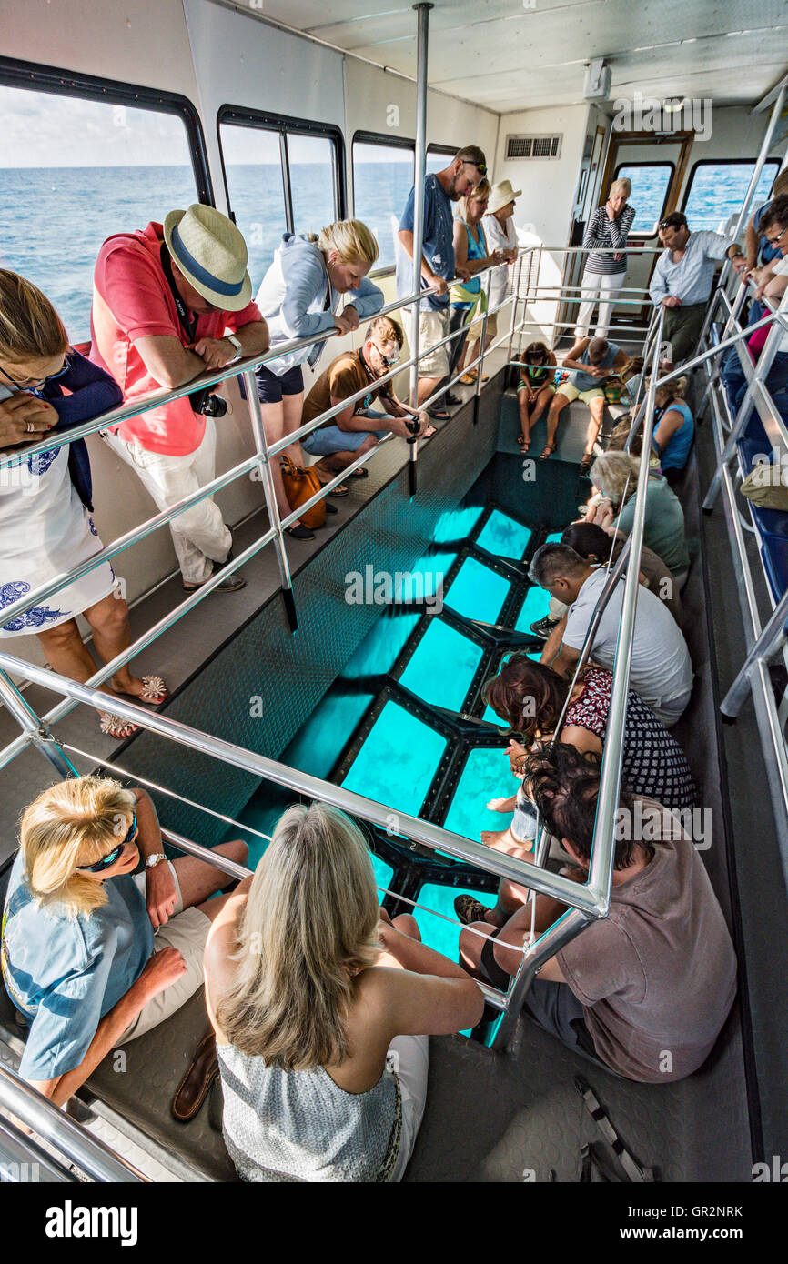 Florida Keys, Key Largo, John Pennekamp Coral Reef State Park, glass bottom  boat, a 65 ft. high speed catamaran, over the reef Stock Photo - Alamy