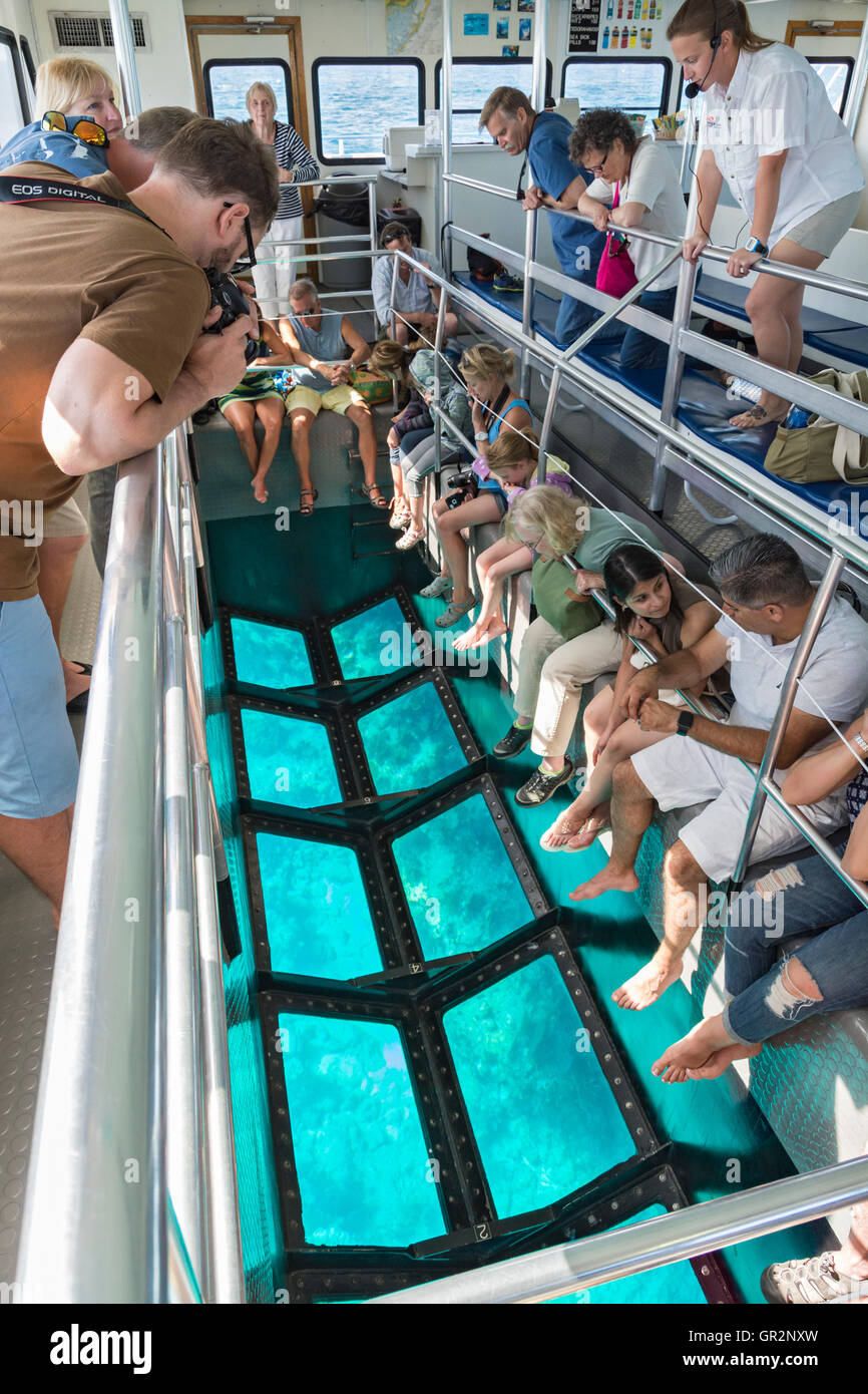 Florida Keys, Key Largo, John Pennekamp Coral Reef State Park, glass