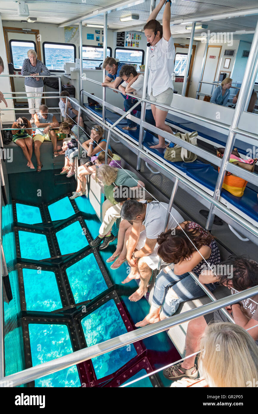 Florida Keys, Key Largo, John Pennekamp Coral Reef State Park, glass