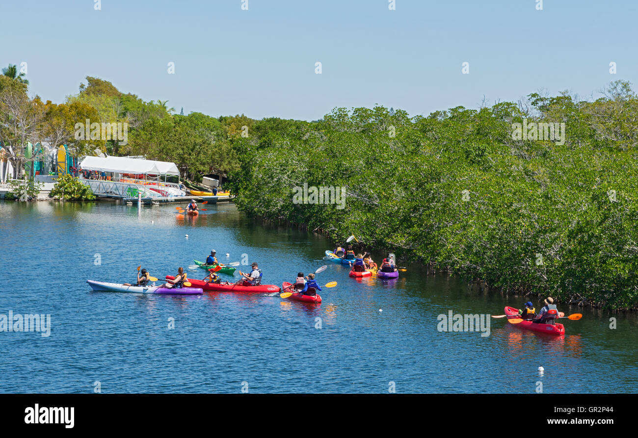 Florida Keys, Key Largo, John Pennekamp Coral Reef State Park, kayakers paddle through mangrove forest near marina Stock Photo