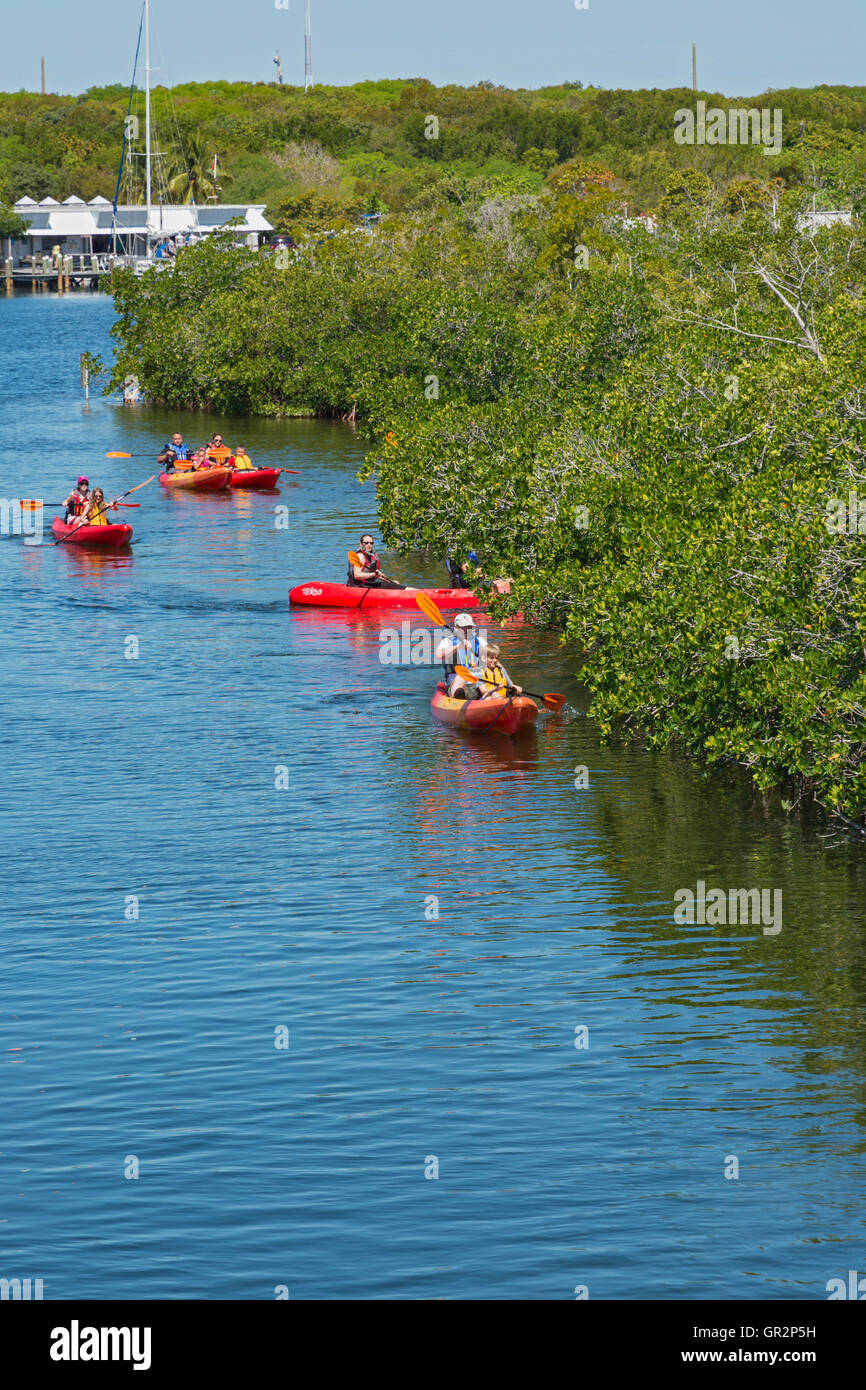 Florida Keys, Key Largo, John Pennekamp Coral Reef State Park, kayakers paddle through mangrove forest near marina Stock Photo