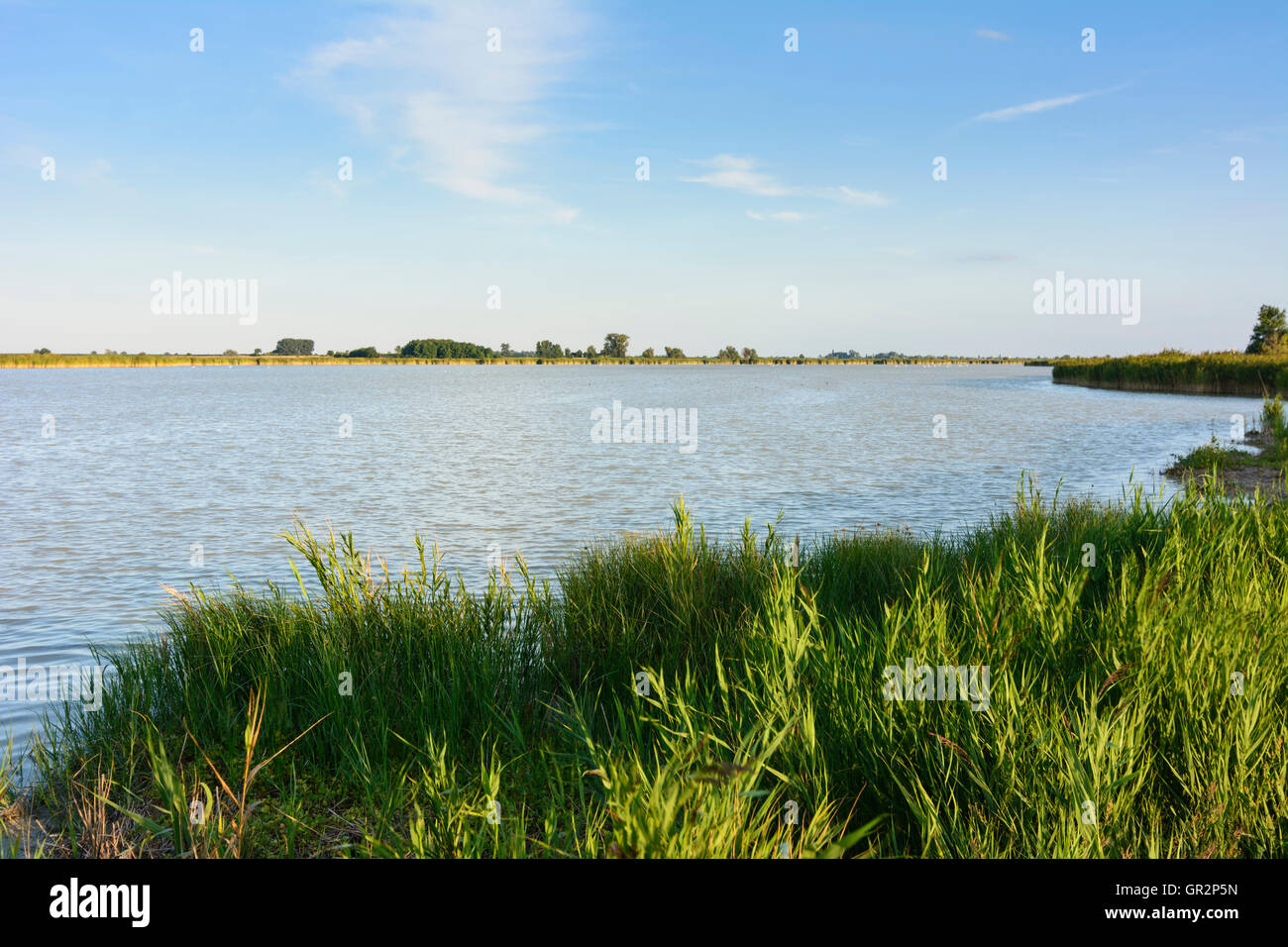 Illmitz: lake Unterer Stinksee, Austria, Burgenland, National Park Neusiedler See (Lake Neusiedl) -Seewinkel Stock Photo