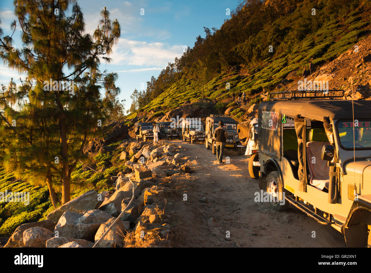 Watching the sunrise at at the Kolukkumalai Tea Estate, Tamil Nadu