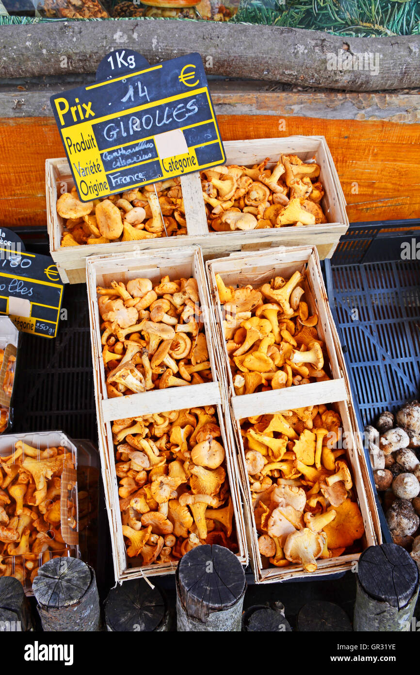 Girolles in wooden basket on stall of greengrocer shop La Chaise-Dieu Haute-Loire Auvergne France Stock Photo