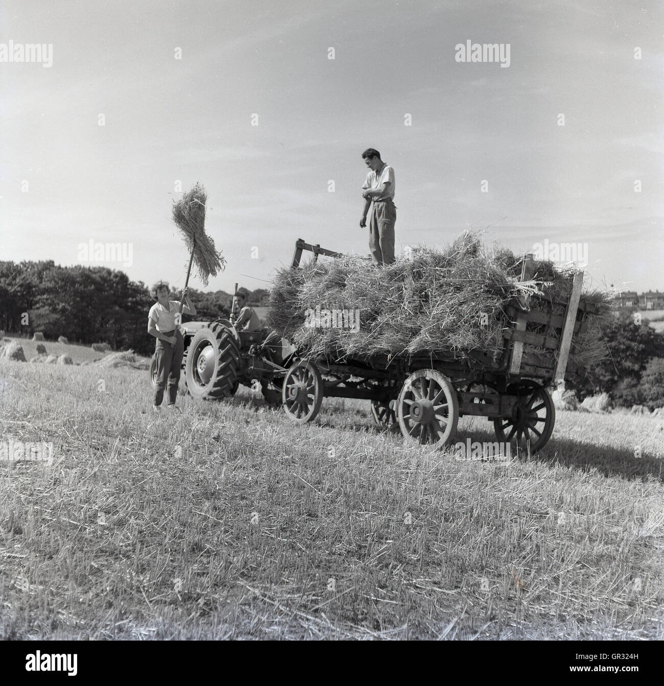 Farming 1950s Stock Photos & Farming 1950s Stock Images - Alamy