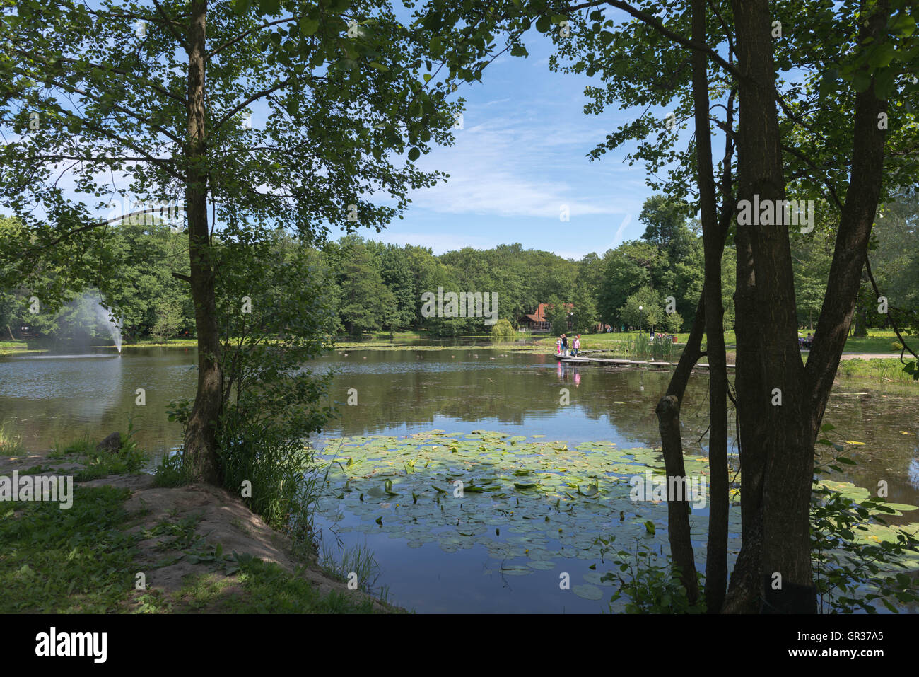 A small lake with water-lilies in the City Park of Zelenogradsk, ex Cranz, Kaliningrad Region, Russia, Stock Photo