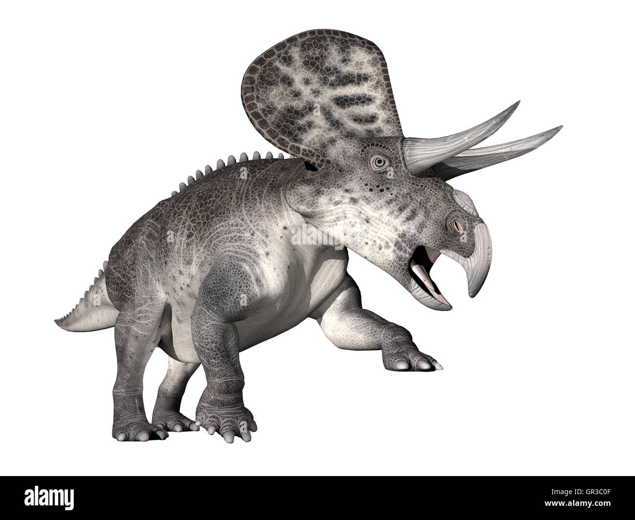 Zuniceratops dinosaur - 3D render Stock Photo