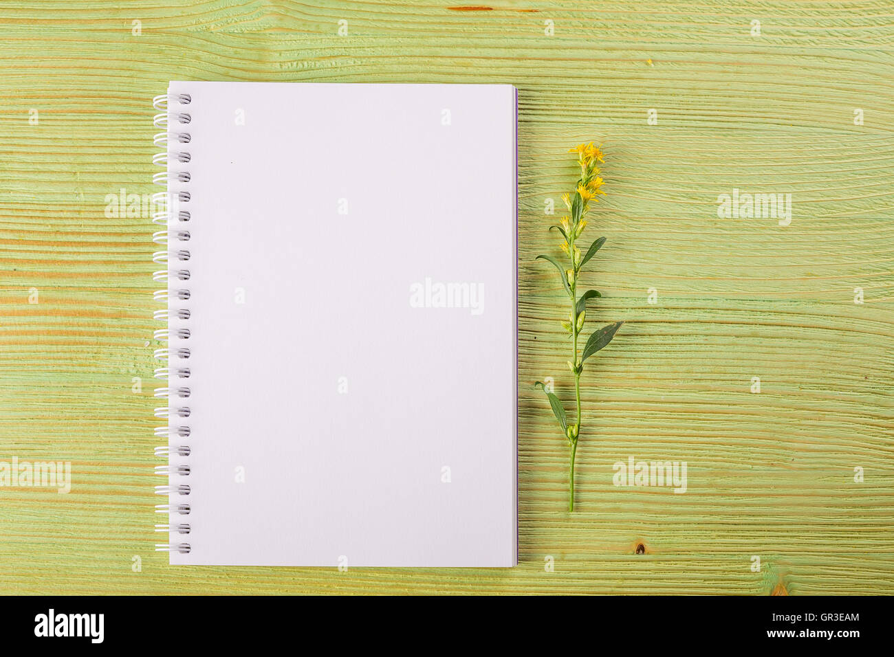 Craft mockup set with Yellow wild flowers and notebook on a light wooden table Stock Photo