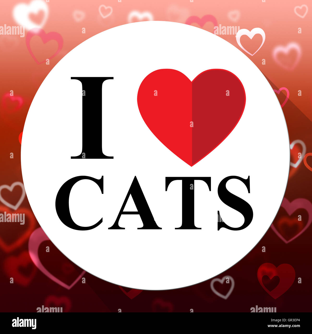 Love Cats Showing Kitty Superb And Agreeable Cat Stock Photo