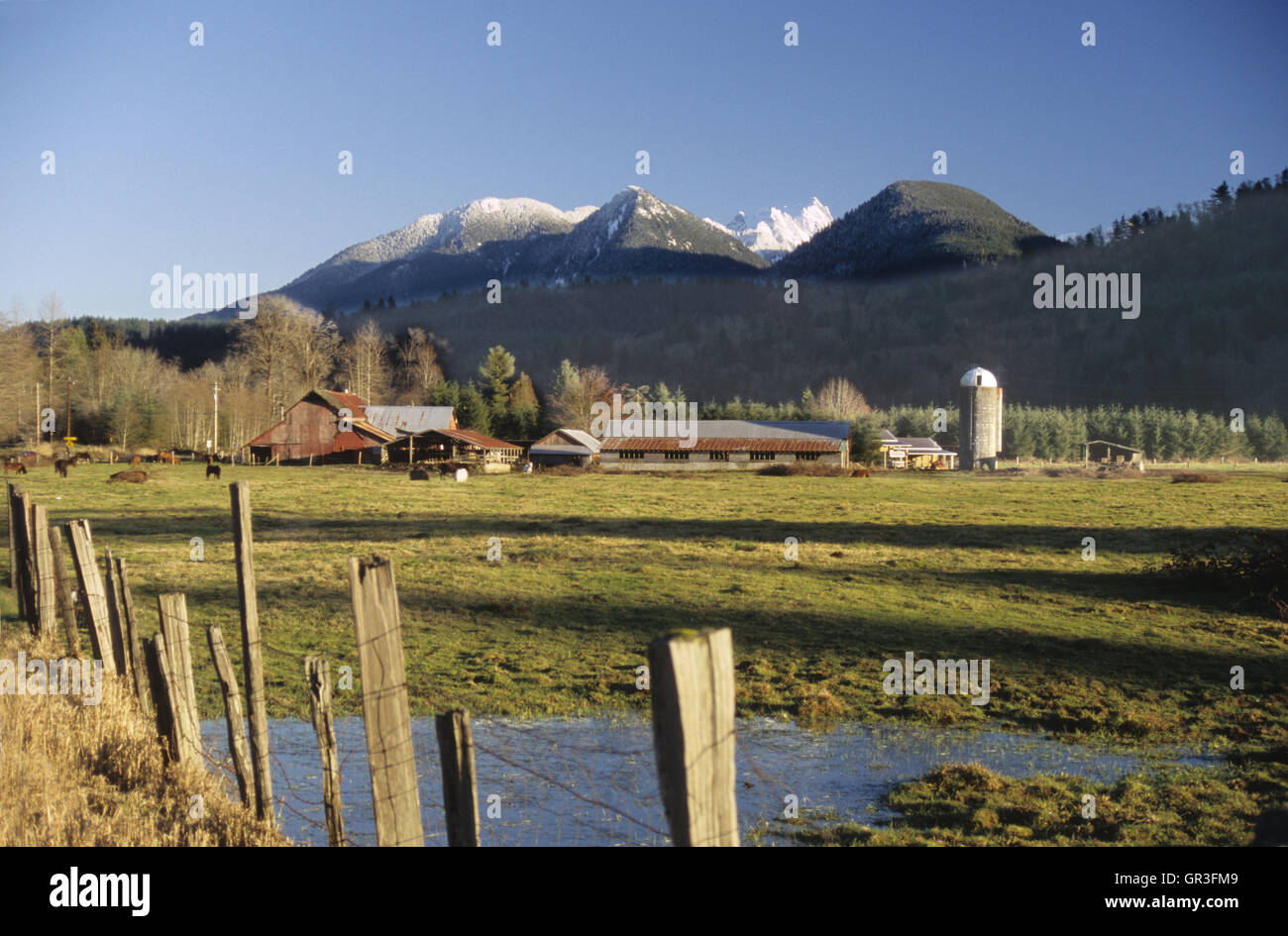 A large farm in Washington State's Cascade Mountains in the Pacific Northwest. Stock Photo