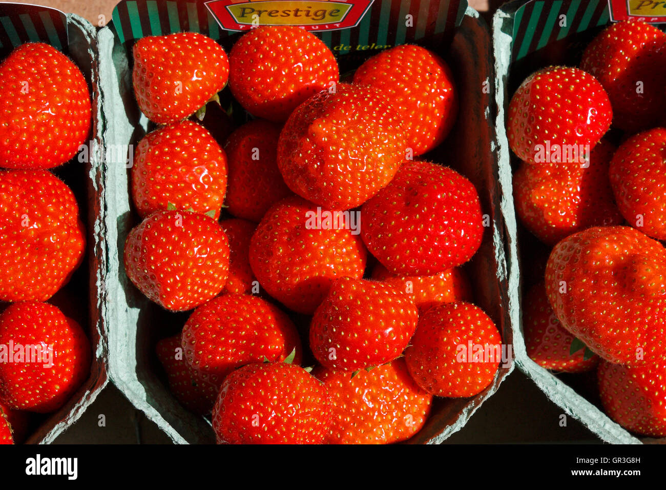 Strawberry strawberries punnet punnets hi-res stock photography and ...
