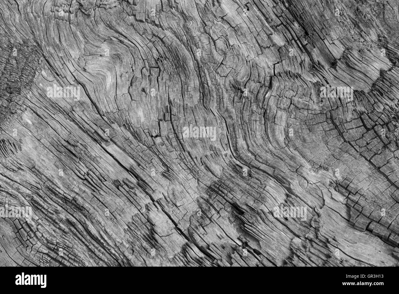 Black and white textural image of driftwood Stock Photo - Alamy